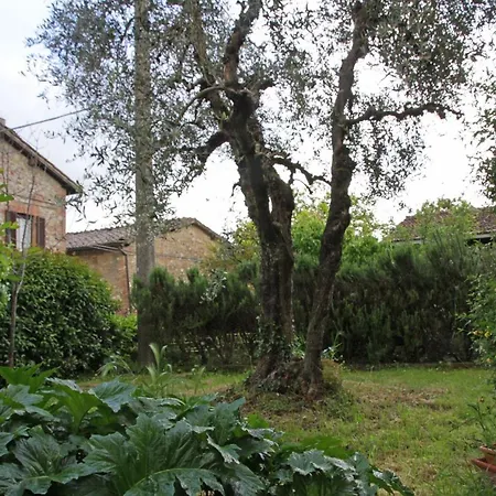 Casa Marisa Siena San Giovanni (Siena)