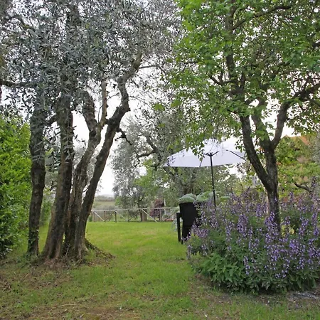 Holiday home Casa Marisa Siena